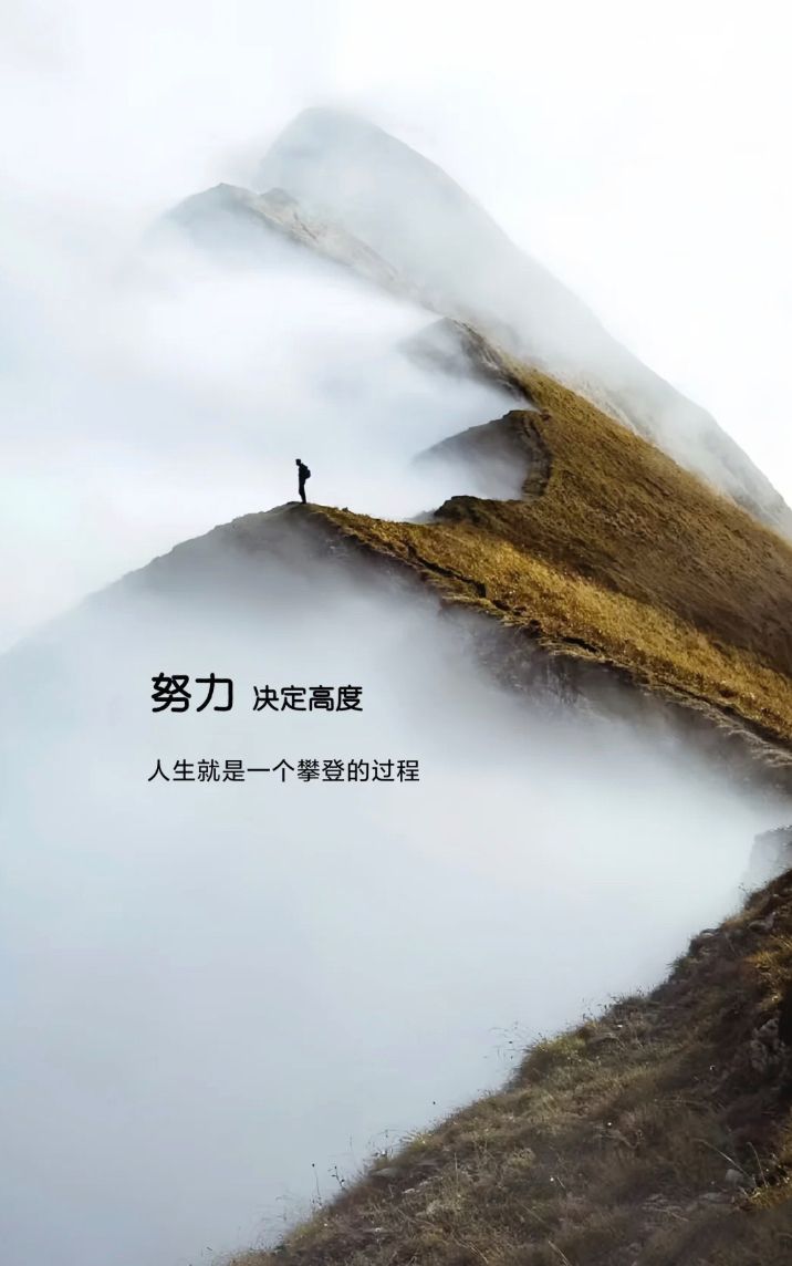 团队的默契