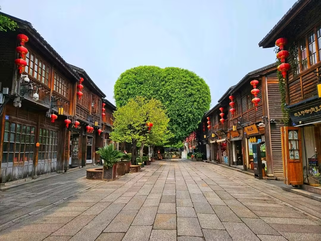 生活没有标准答案，适合自己的节奏，就是最舒服的状态。