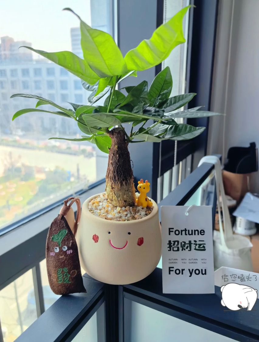 果然还是上班好，忙归忙，至少生活有规律
