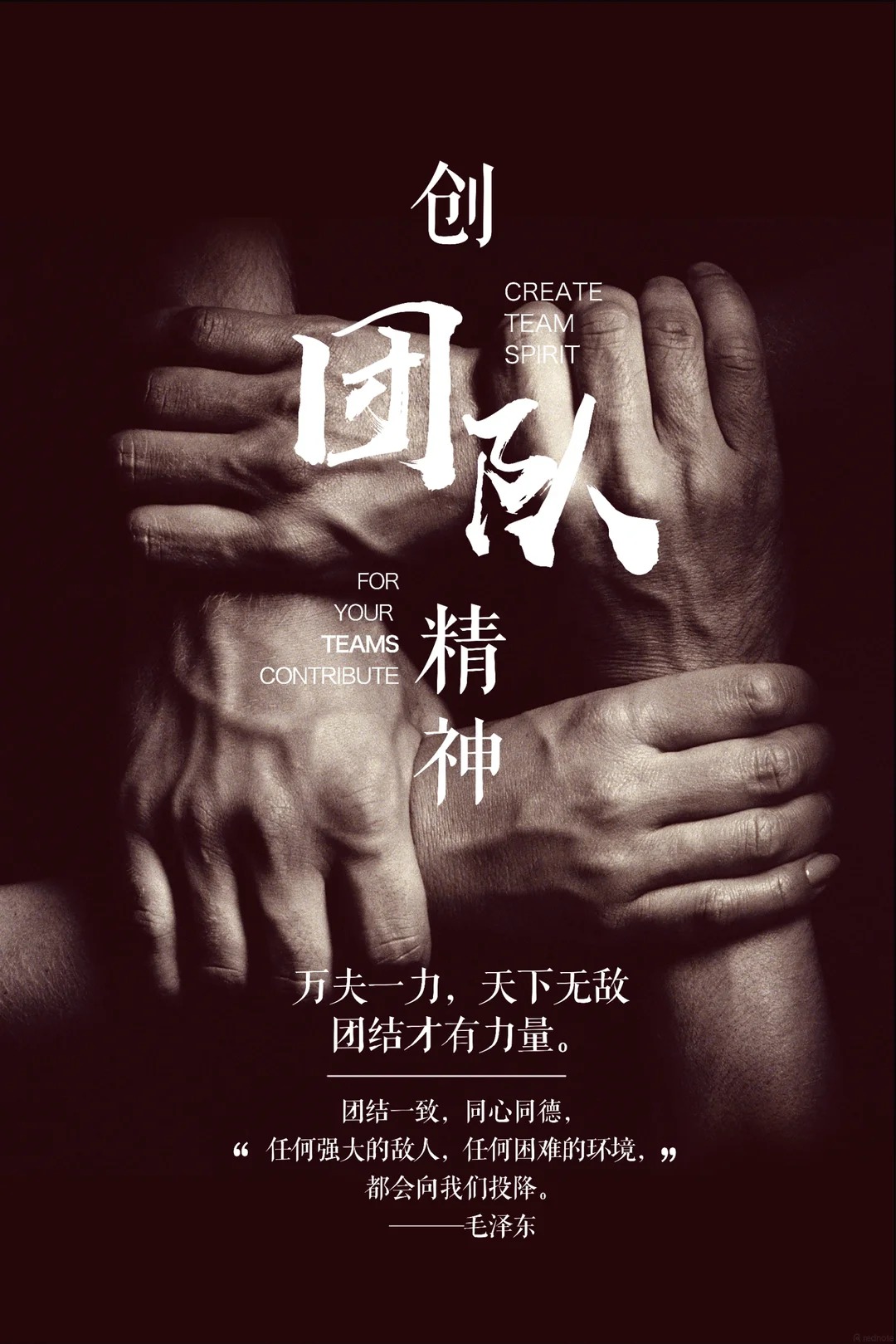 单打独斗难成事，团队共赢才长久🤝