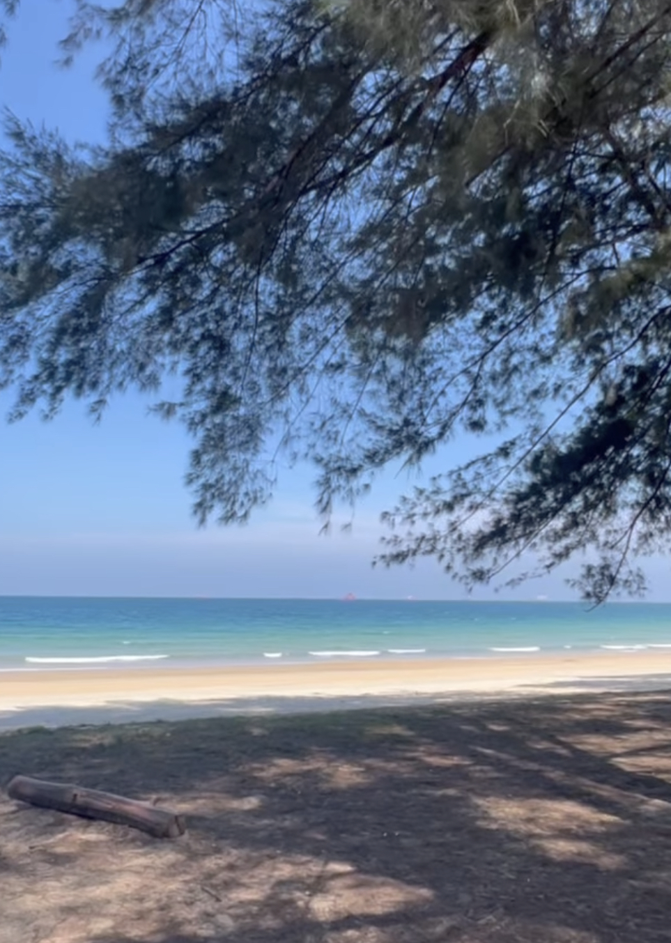 斜风细柳，海天一线，阳光浴让身心都提升到一个很好的状态