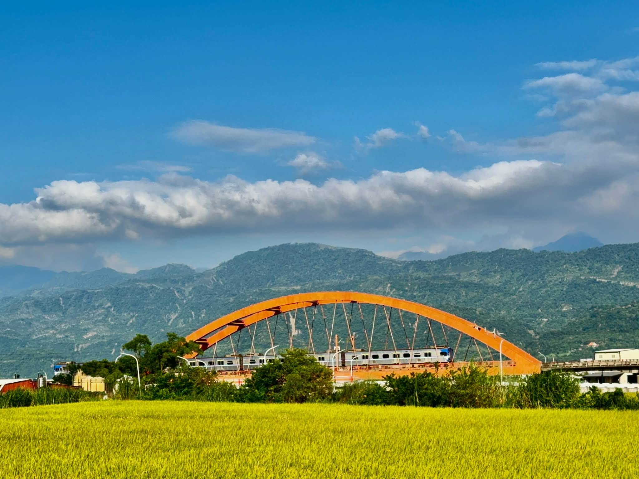青山绿地，云卷云舒、多亲近大自然舒缓身心